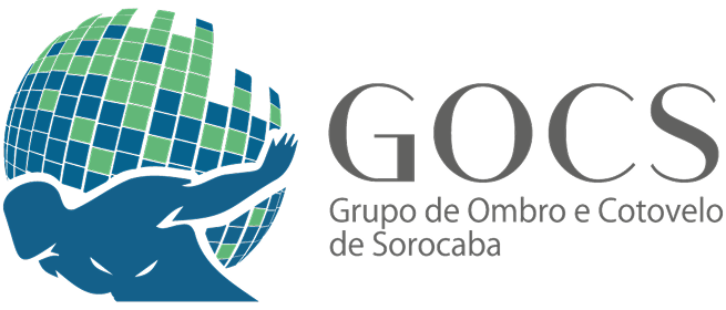 GOCS--logo_horizontal 1